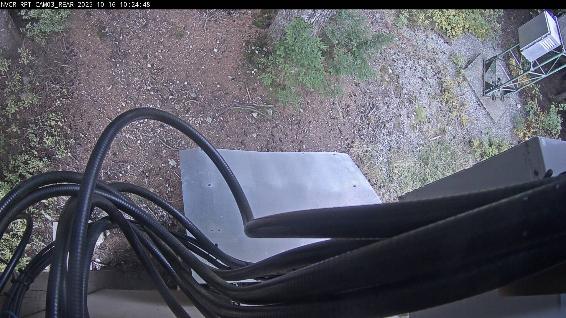 Web Cam History Image - 150