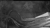 Web Cam Image - Fri, 06/26/2026 1:49am PDT