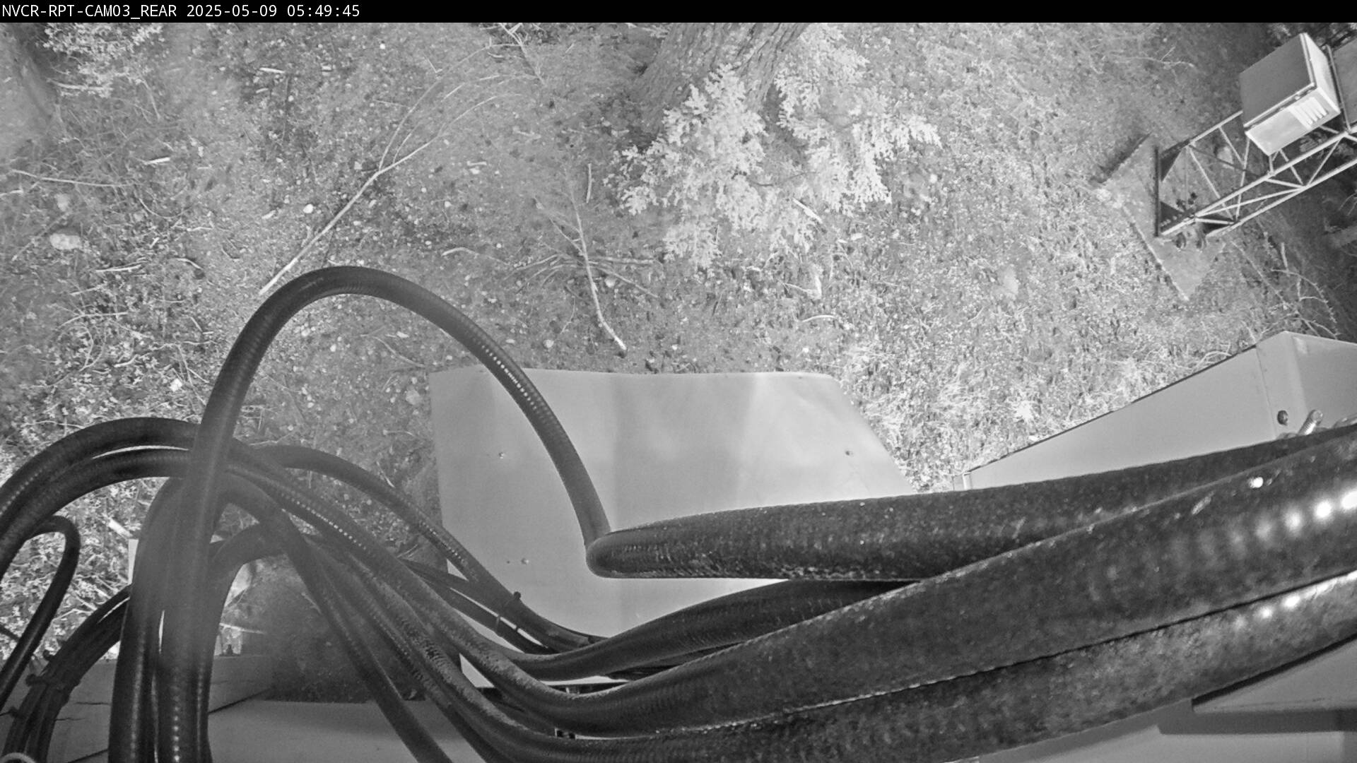 Web Cam History Image - 16