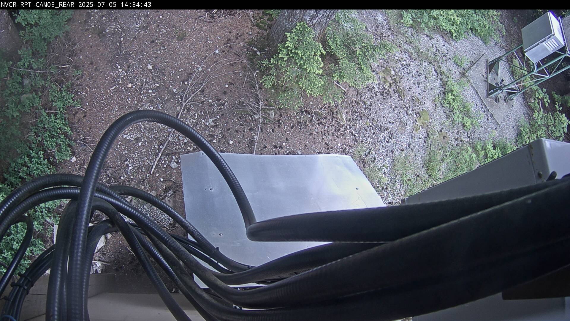 Web Cam History Image - 16