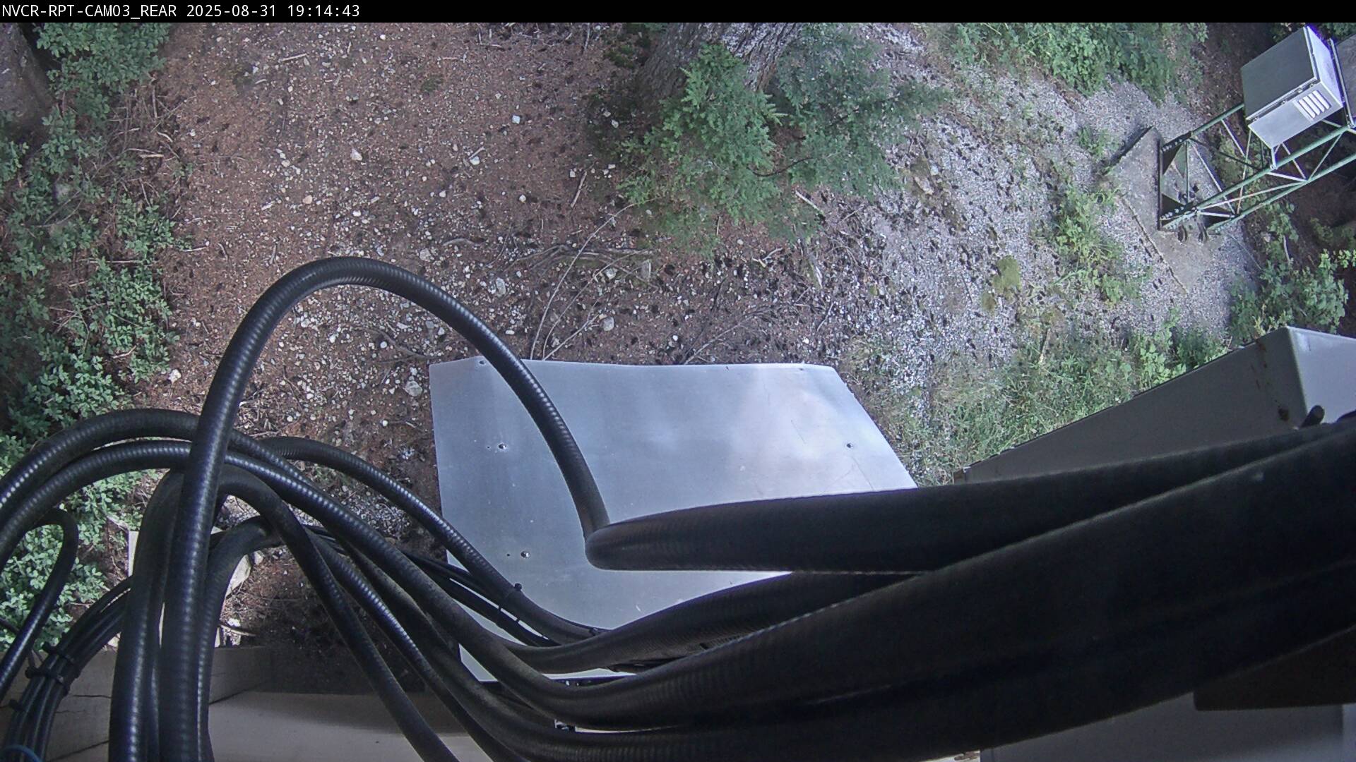 Web Cam History Image - 16