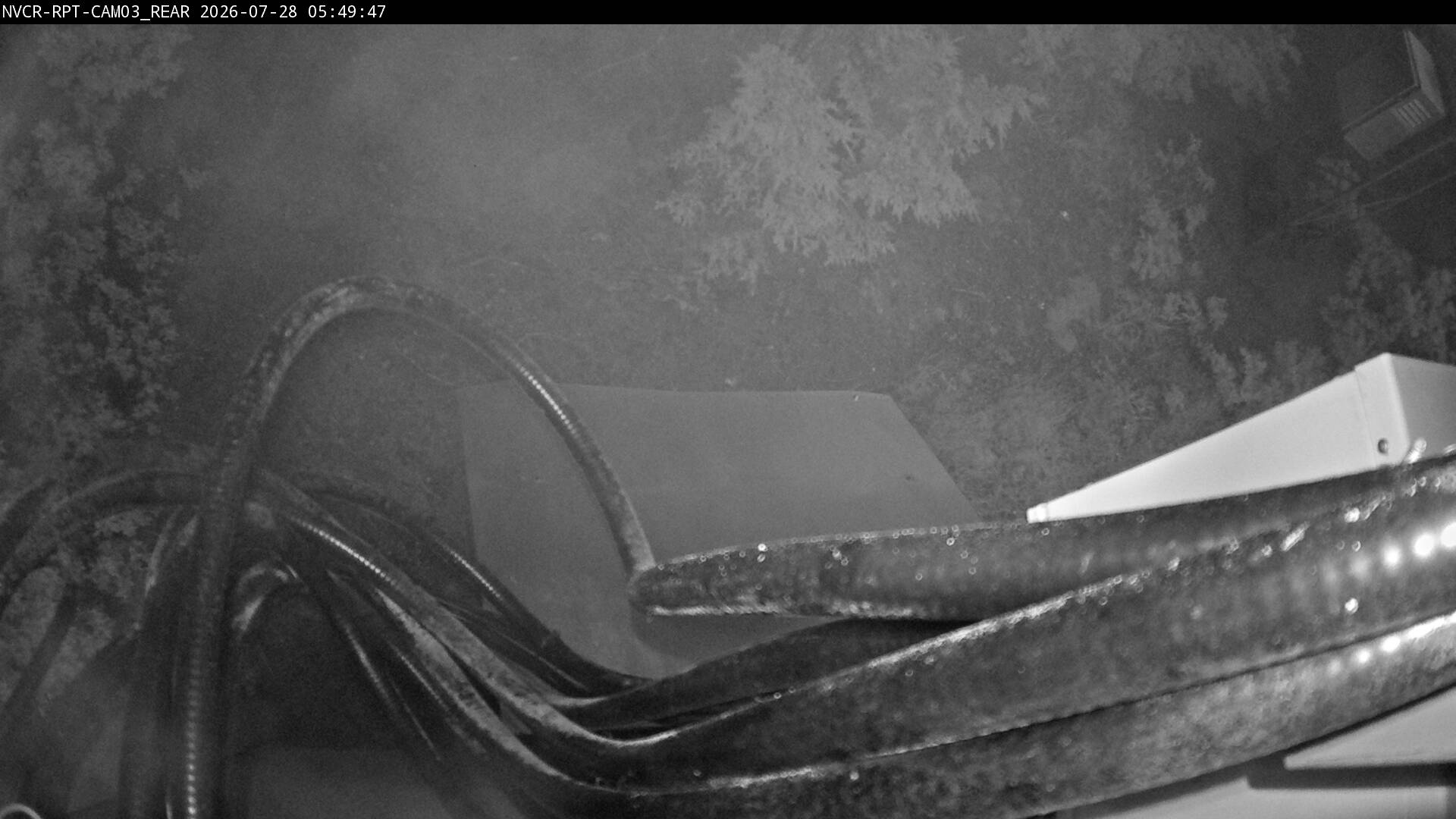 Web Cam History Image - 16