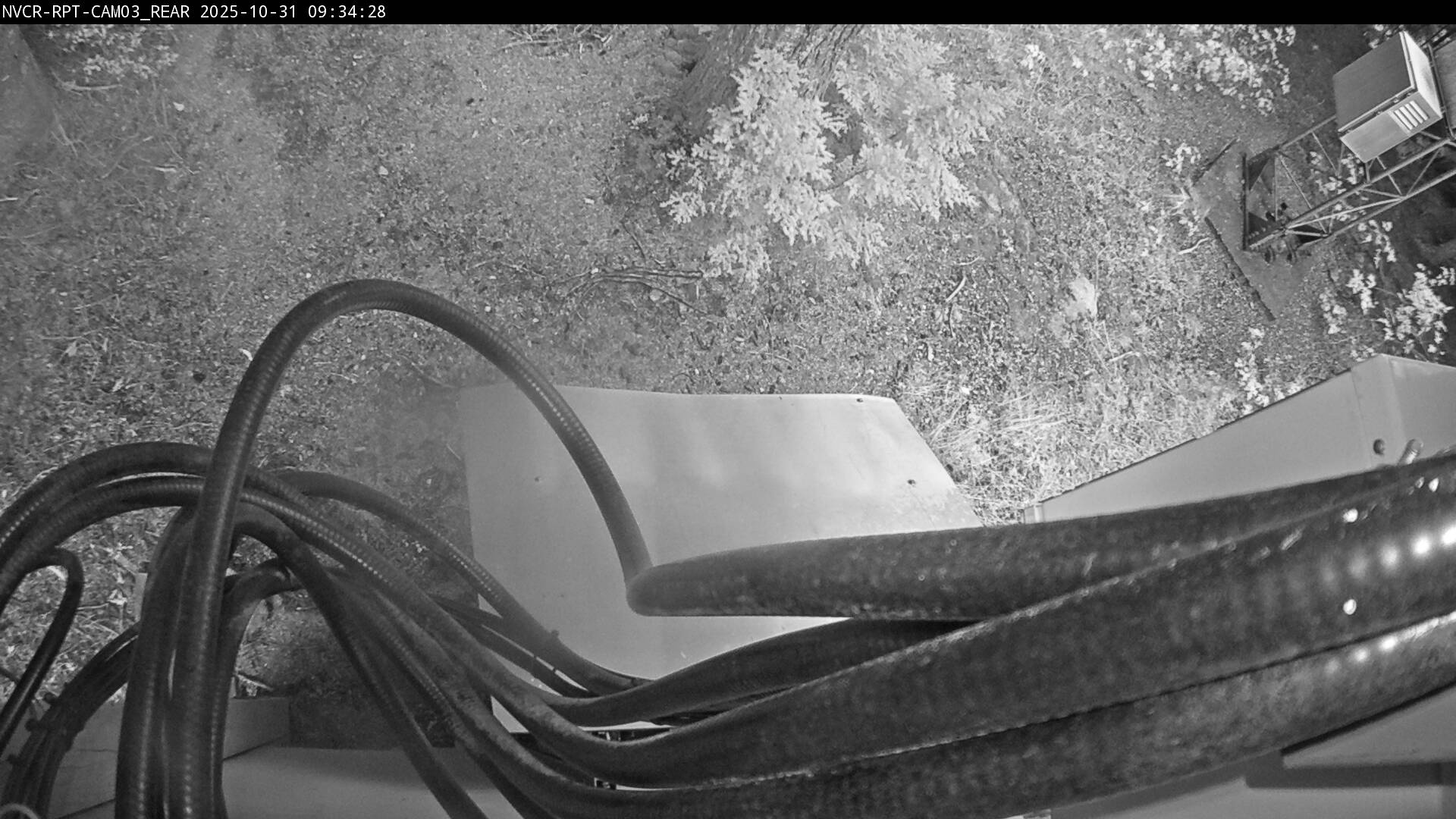 Web Cam History Image - 151