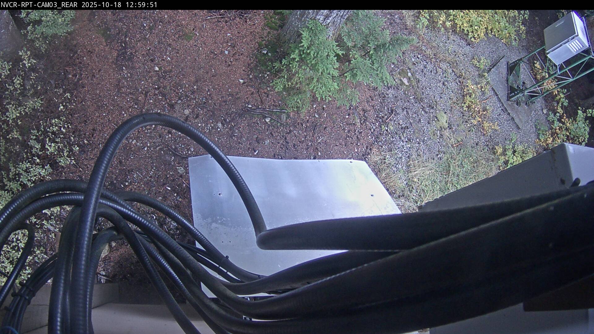 Web Cam History Image - 153