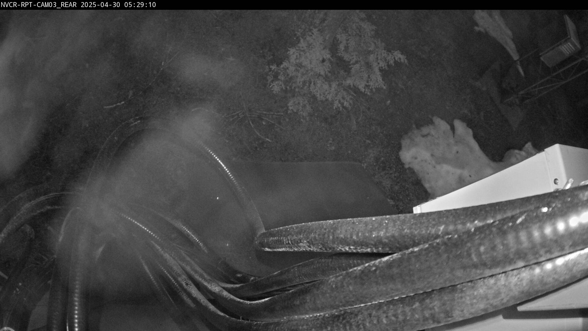 Web Cam History Image - 155