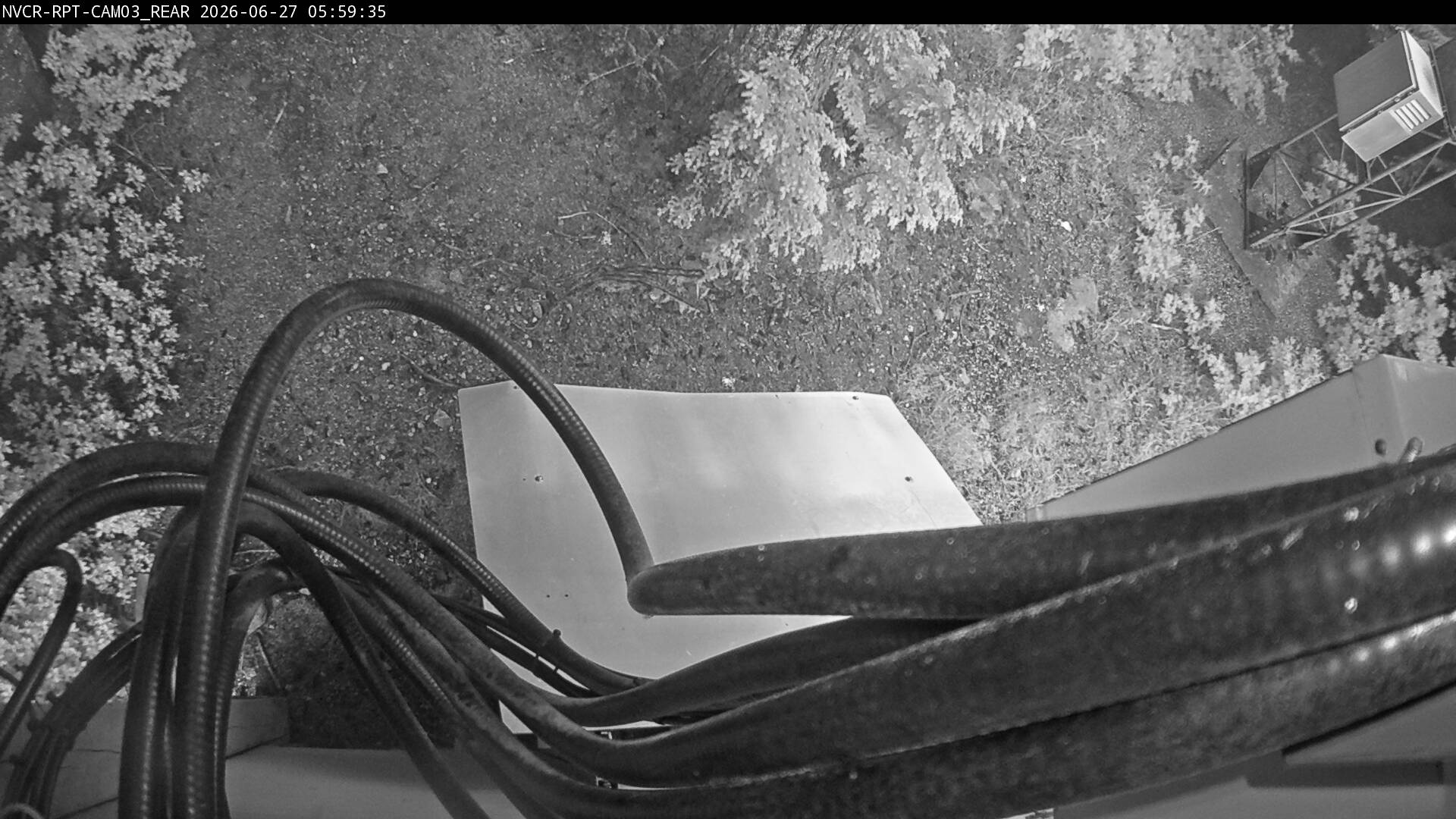 Web Cam History Image - 155