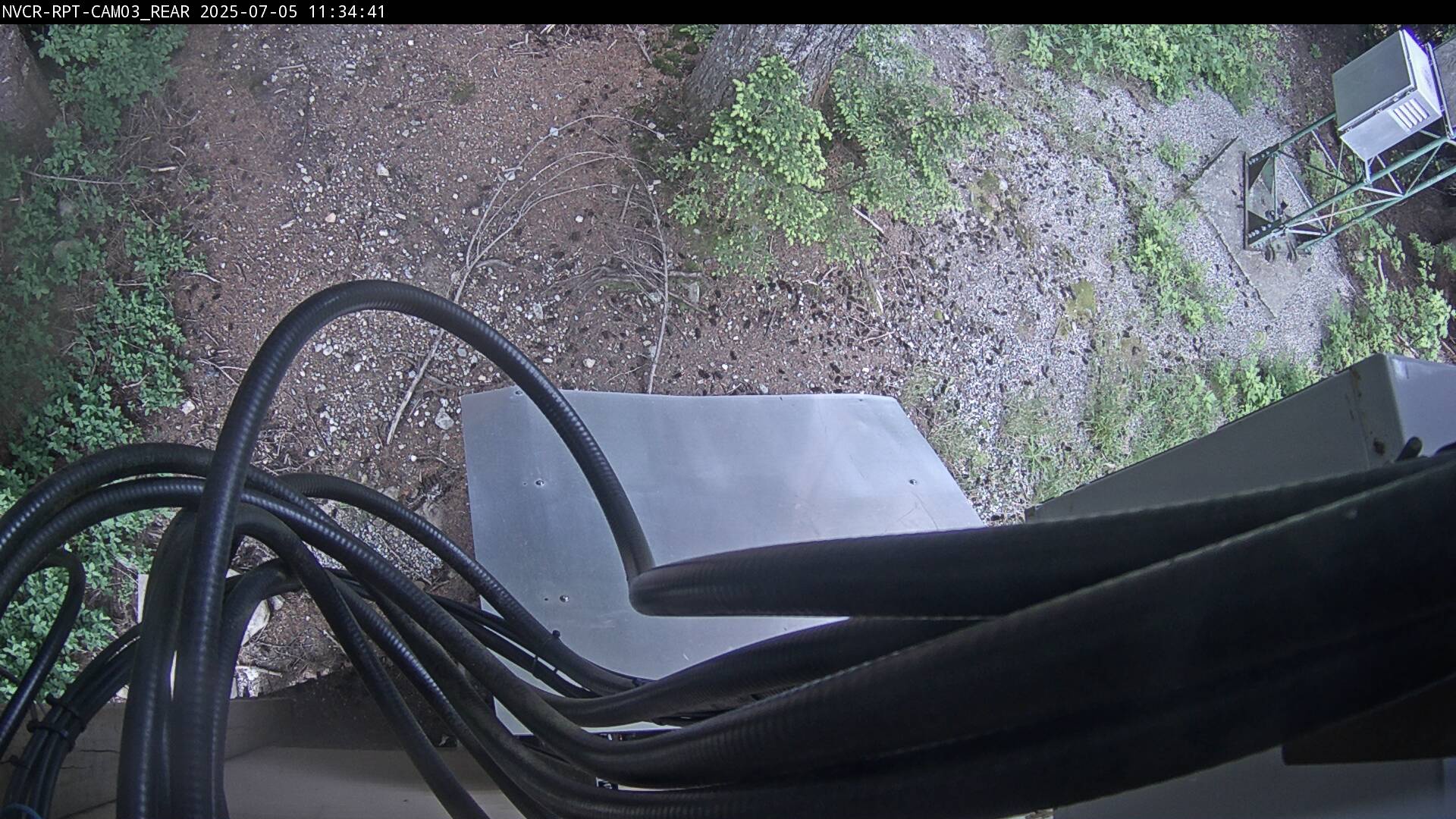 Web Cam History Image - 156