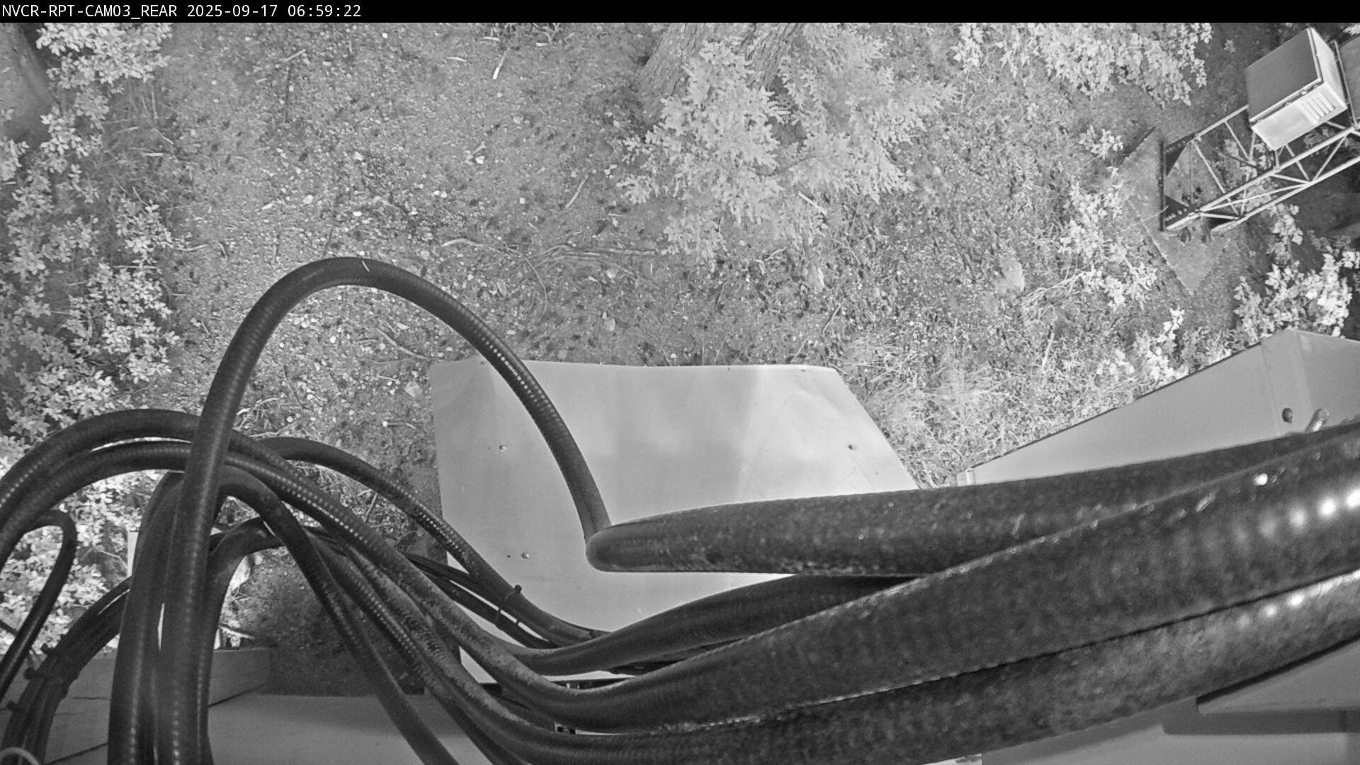 Web Cam History Image - 156