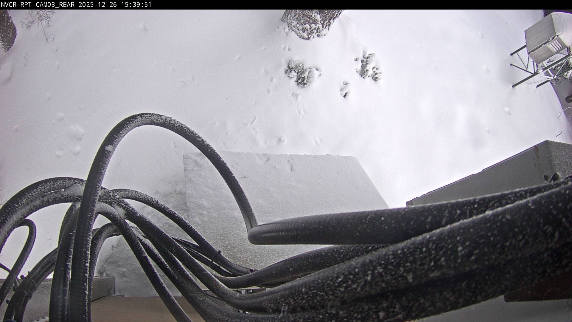 Web Cam History Image - 156