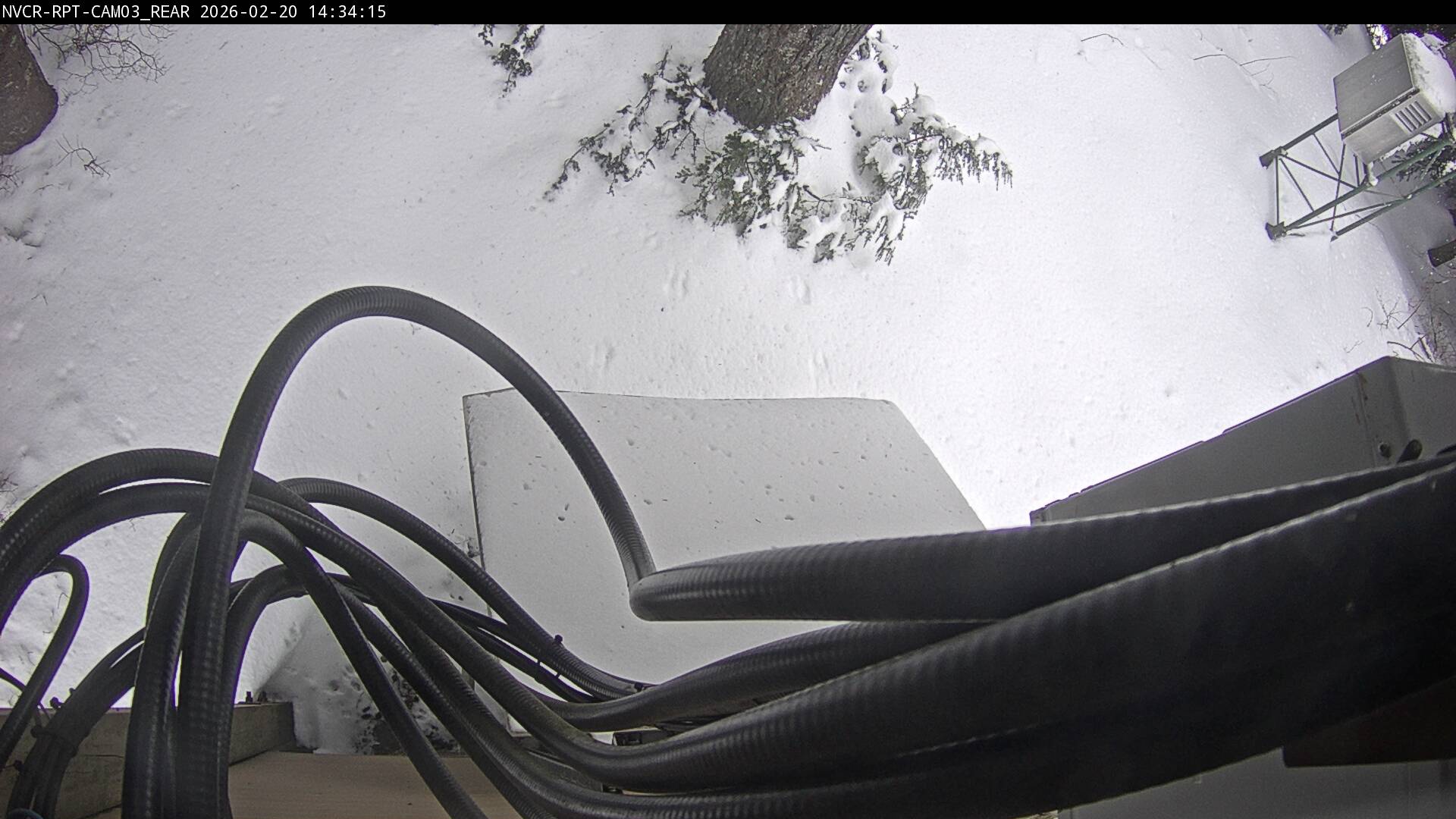 Web Cam History Image - 156