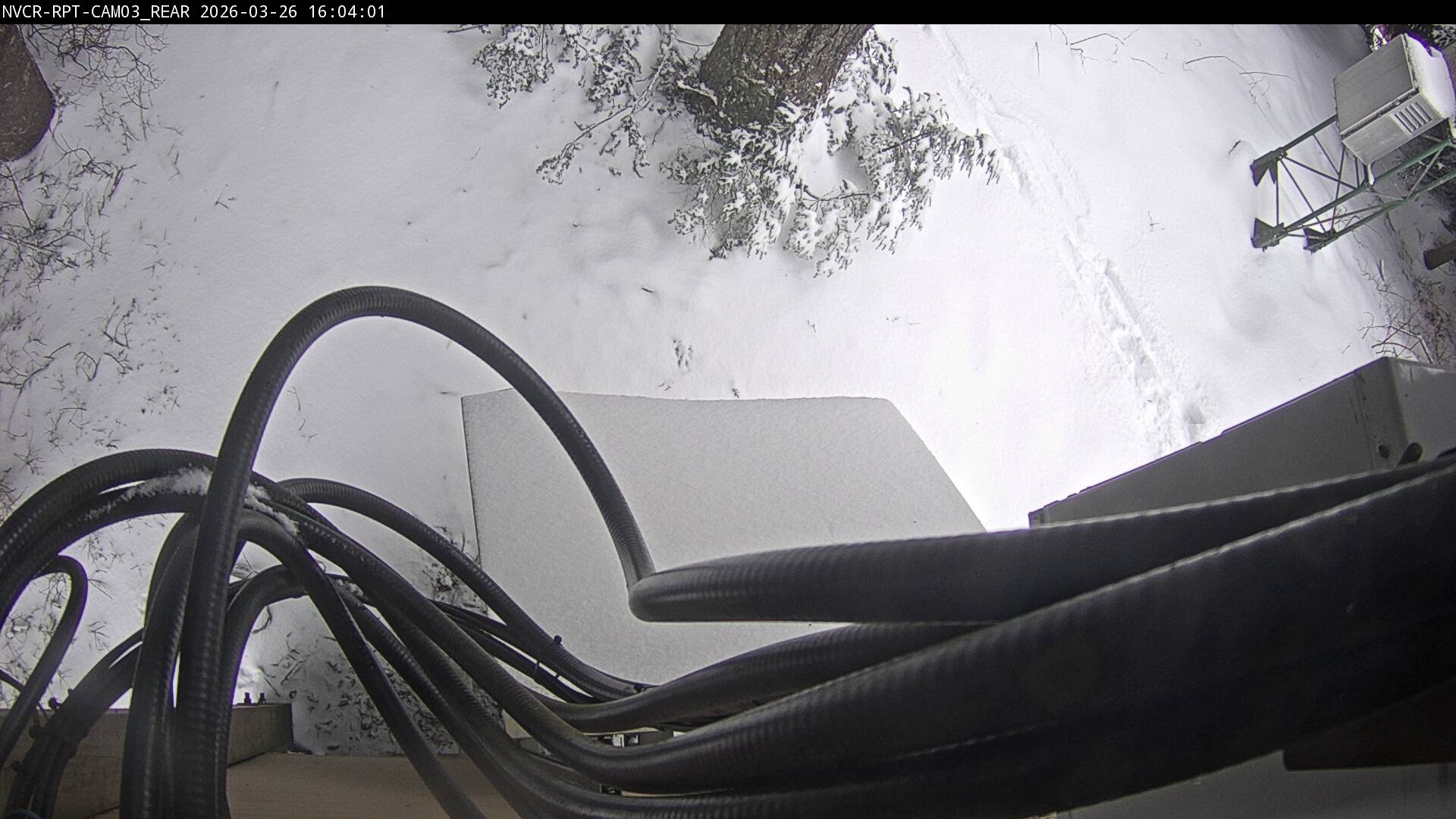 Web Cam History Image - 156