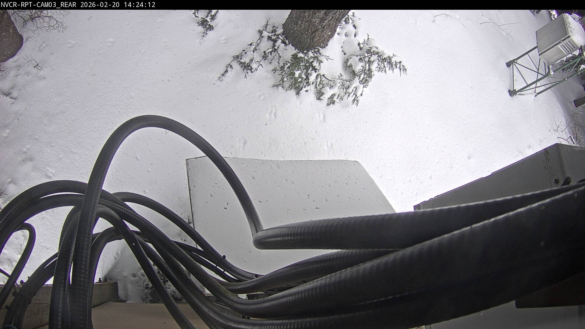 Web Cam History Image - 158