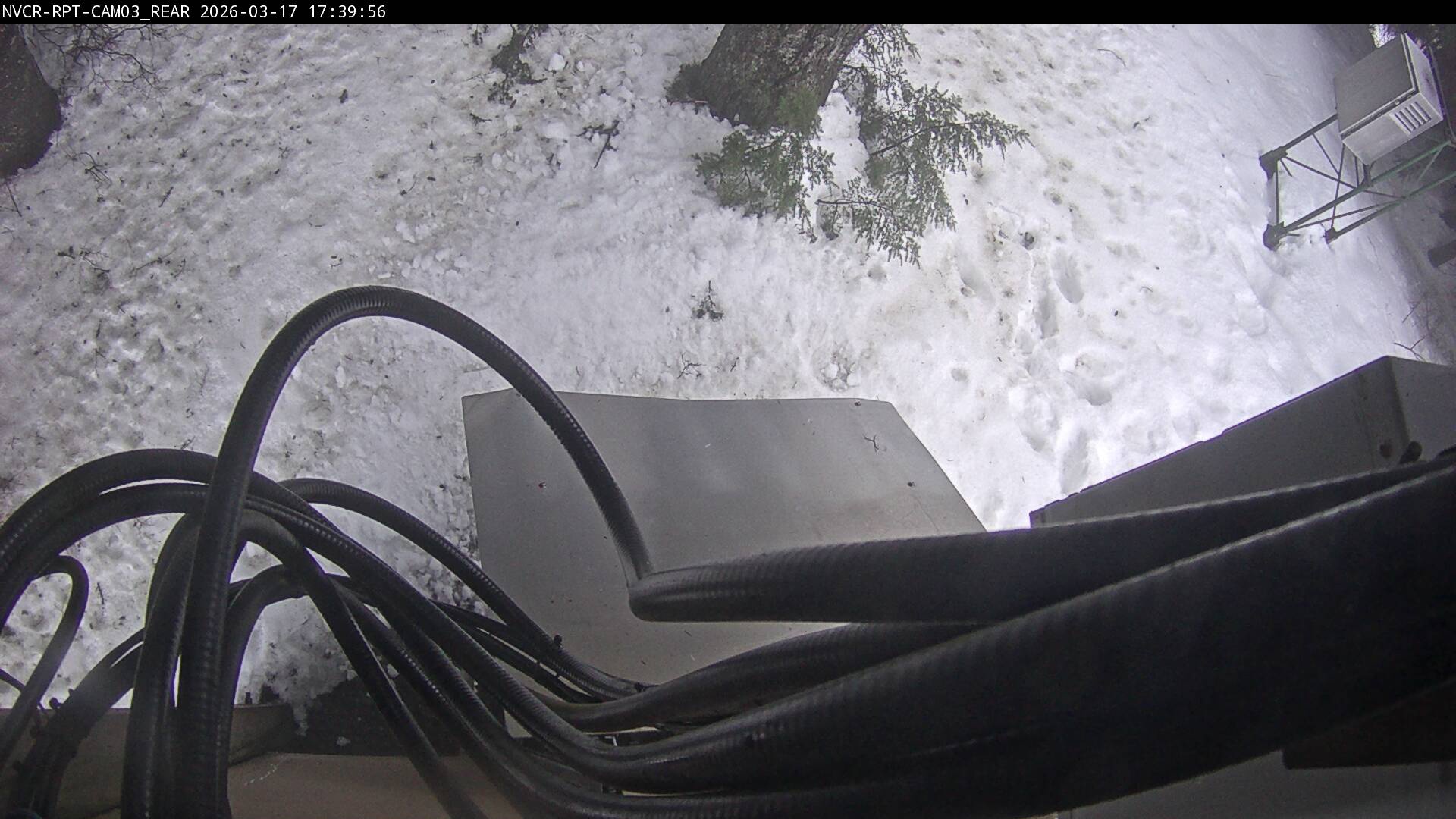 Web Cam History Image - 159