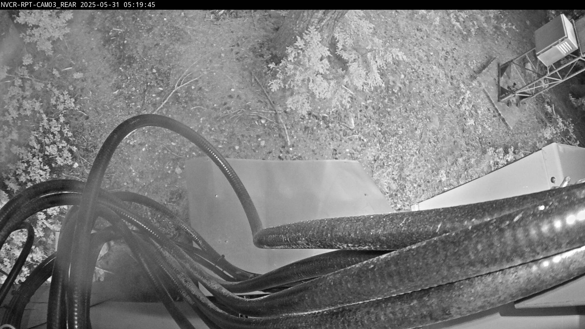 Web Cam History Image - 160