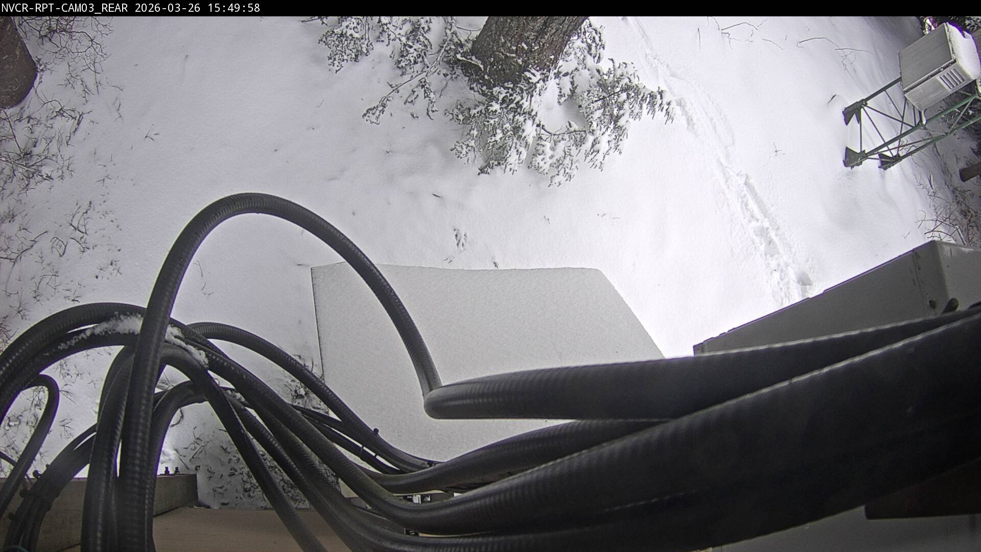 Web Cam History Image - 160