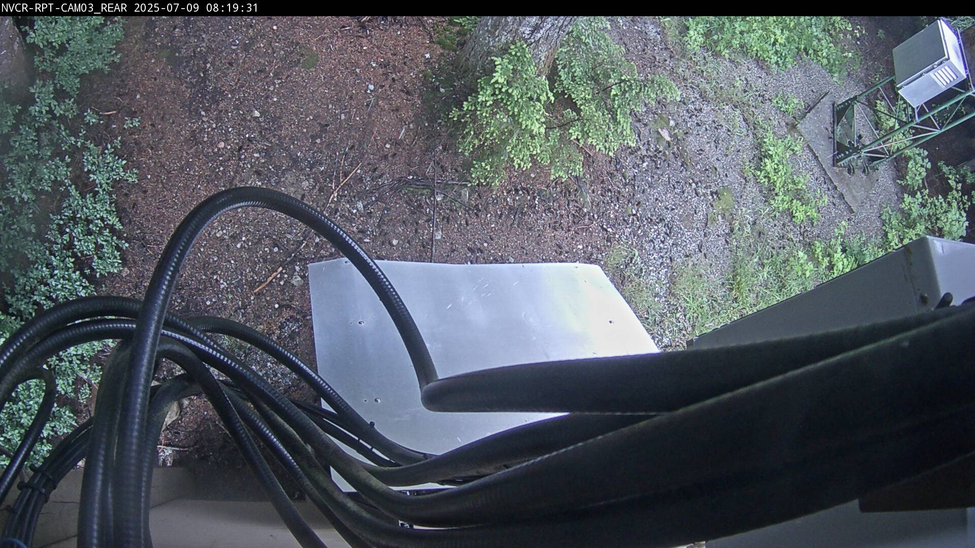 Web Cam History Image - 17