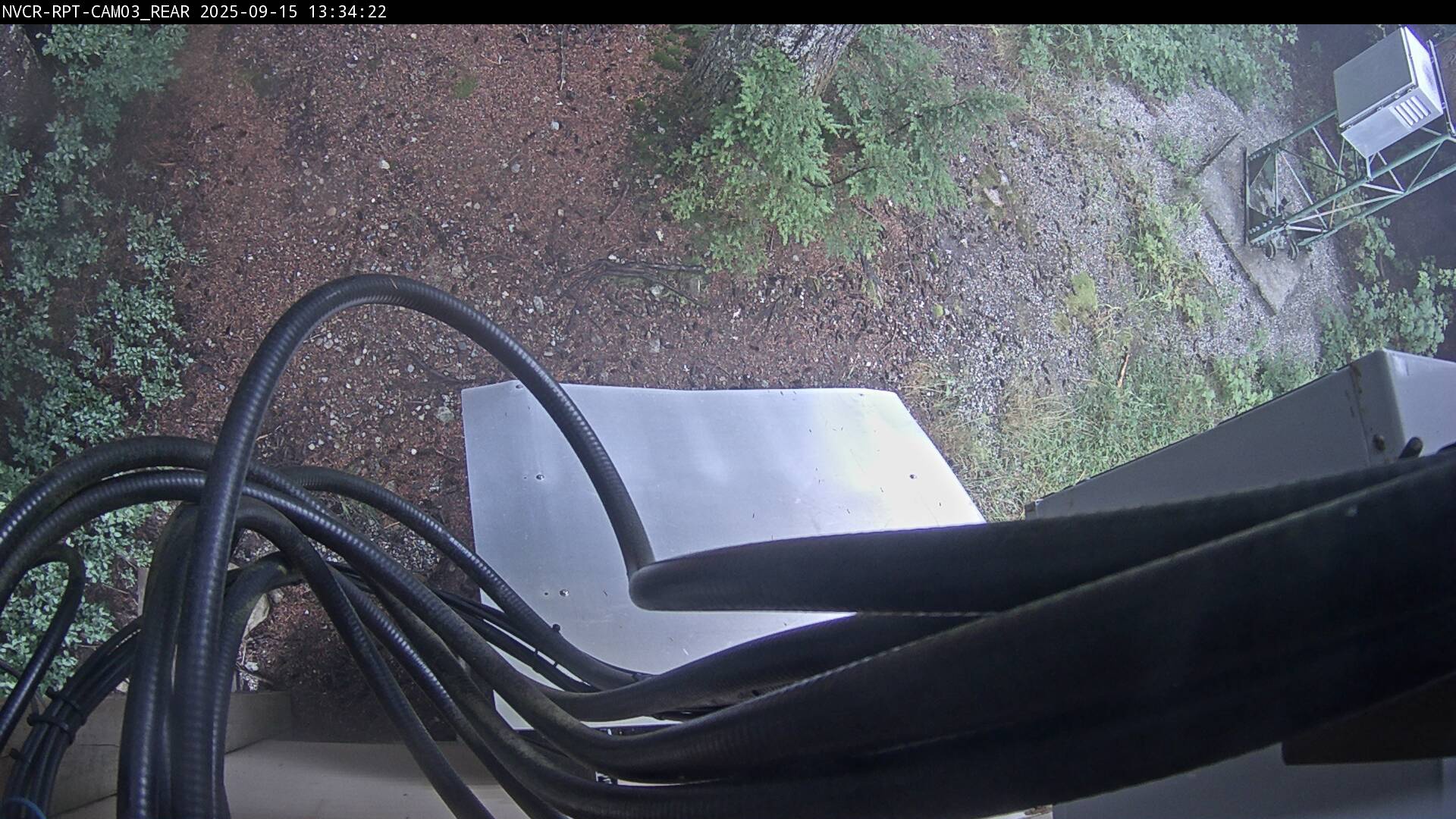Web Cam History Image - 17