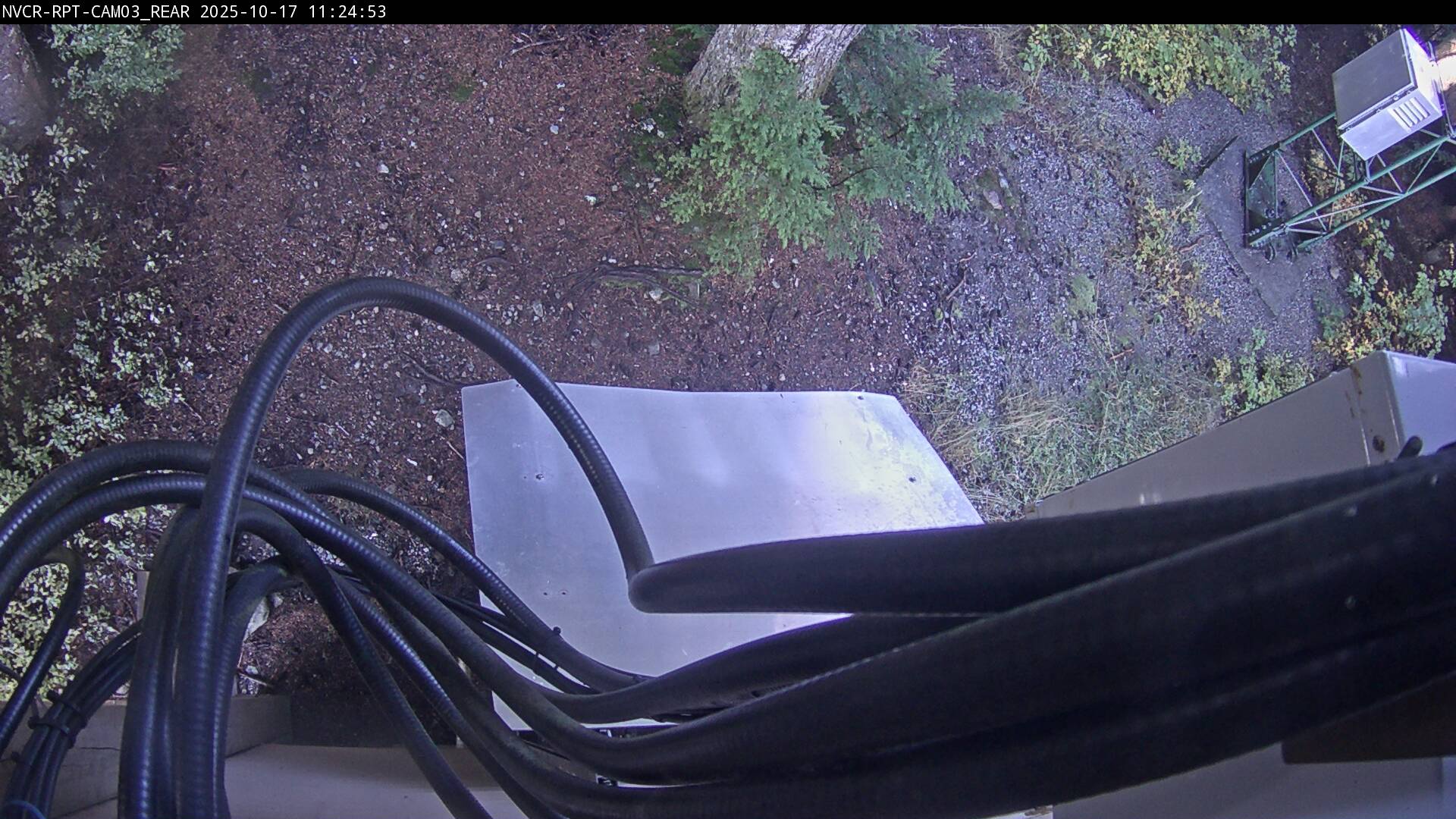 Web Cam History Image - 17