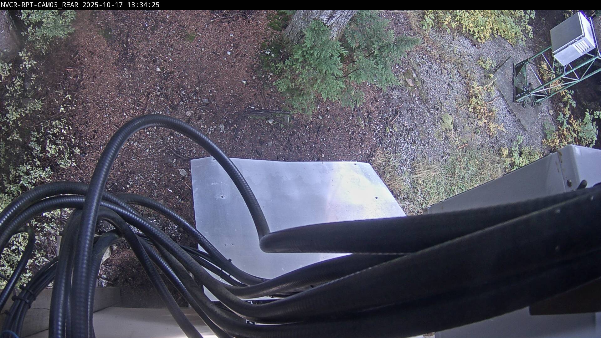 Web Cam History Image - 163