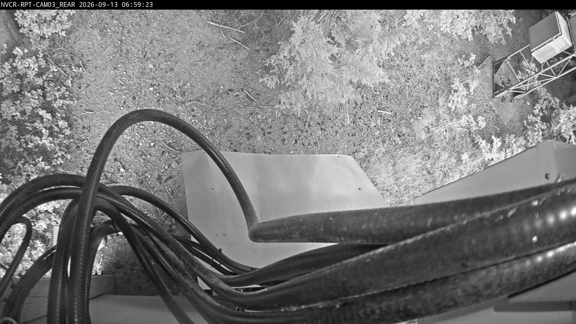 Web Cam History Image - 163