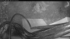 Web Cam Image - Thu, 05/07/2026 4:34am PDT