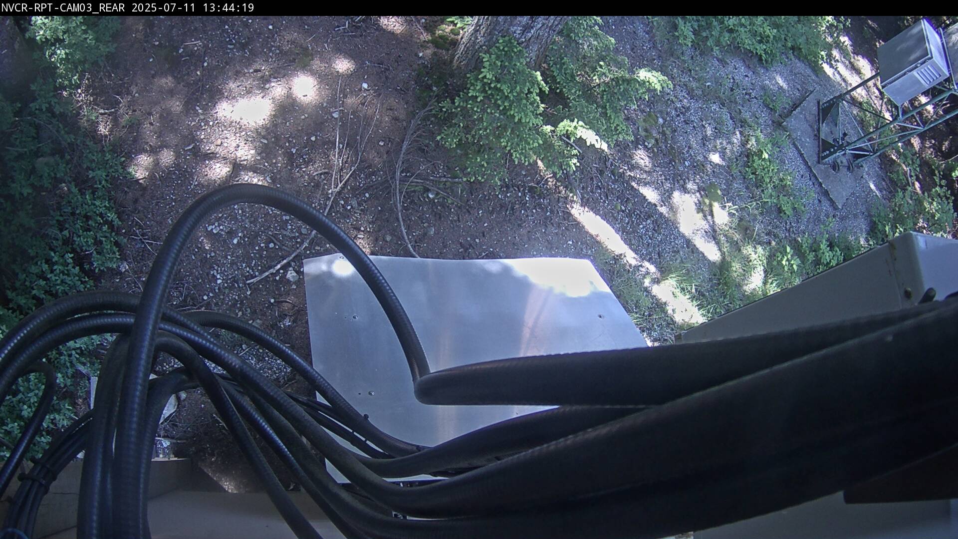 Web Cam History Image - 164