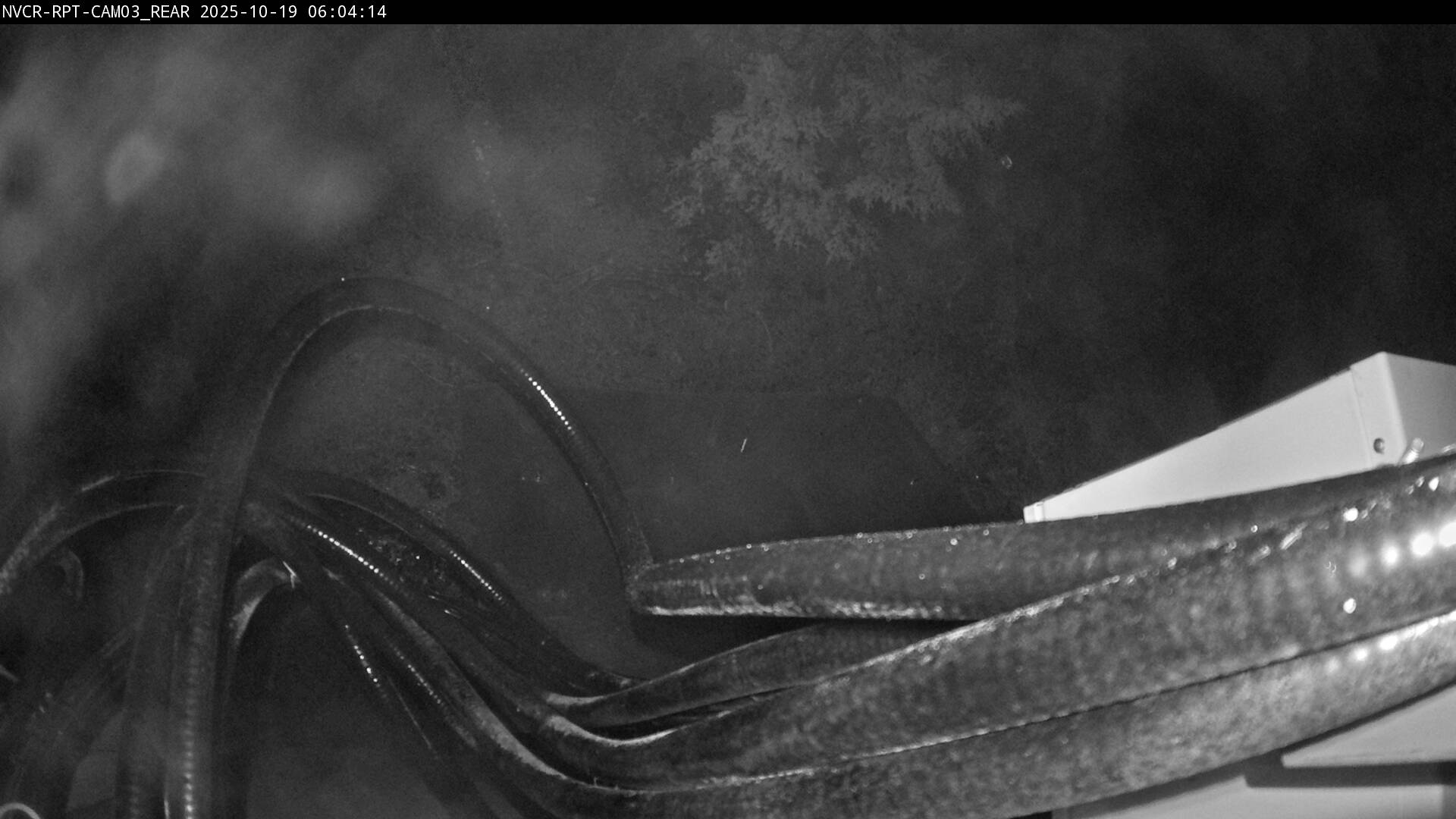 Web Cam History Image - 164