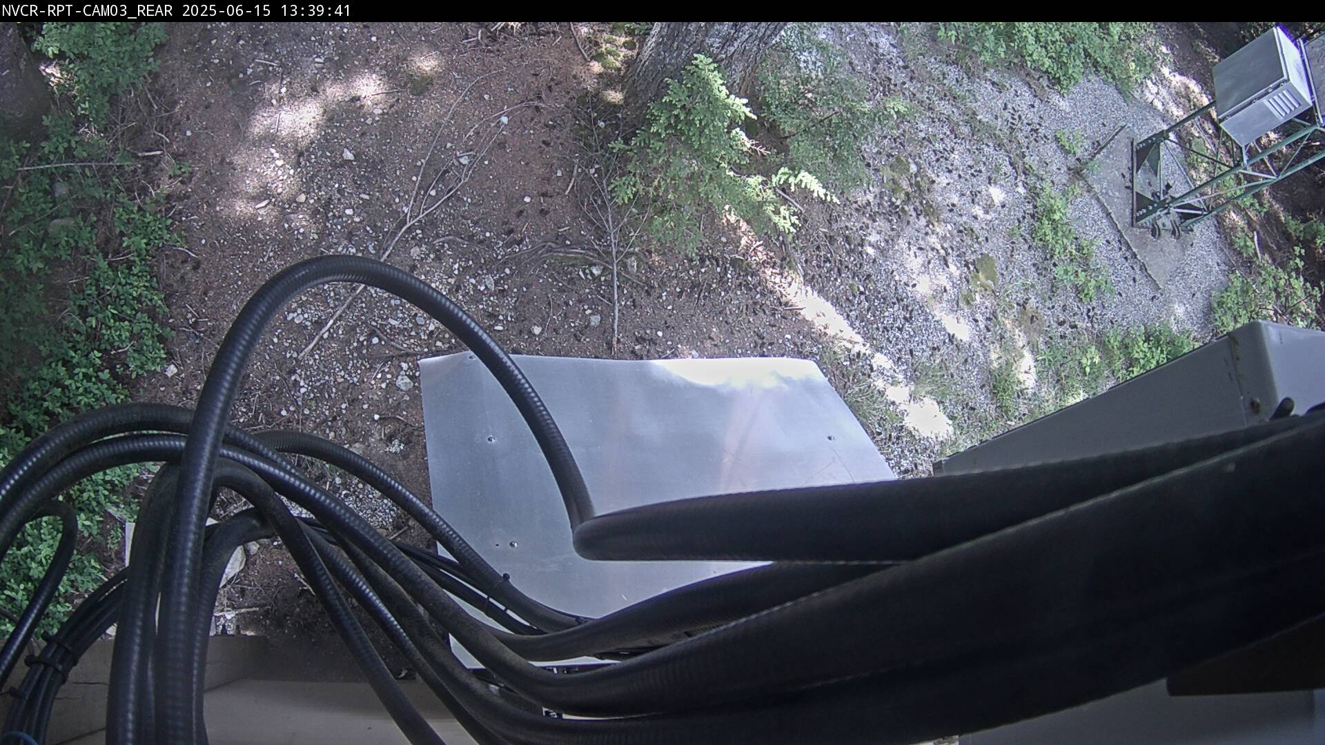 Web Cam History Image - 165