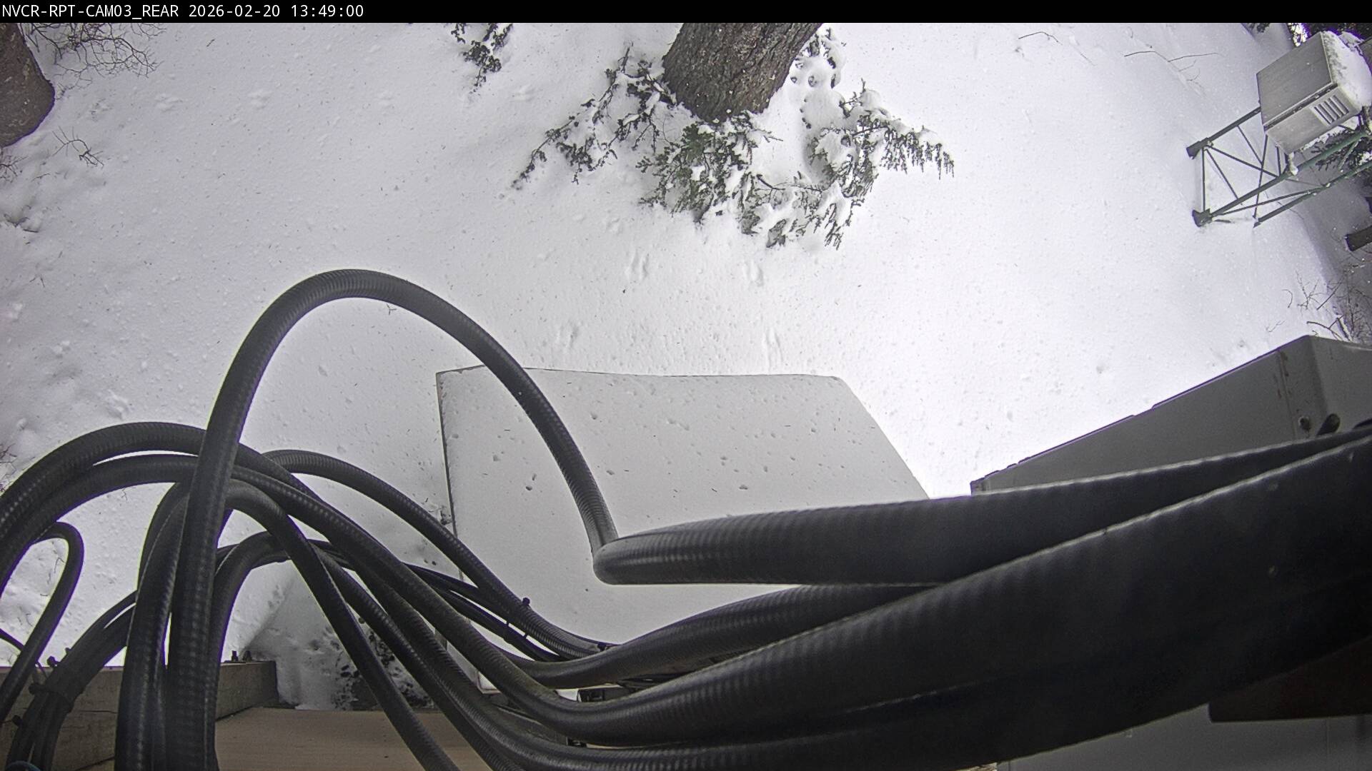 Web Cam History Image - 165