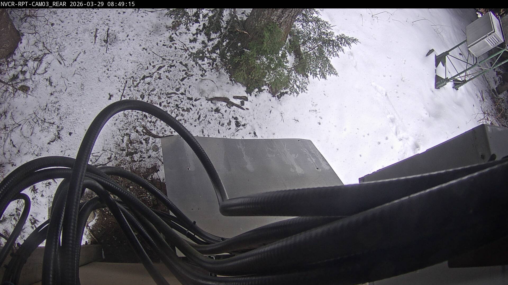 Web Cam History Image - 165