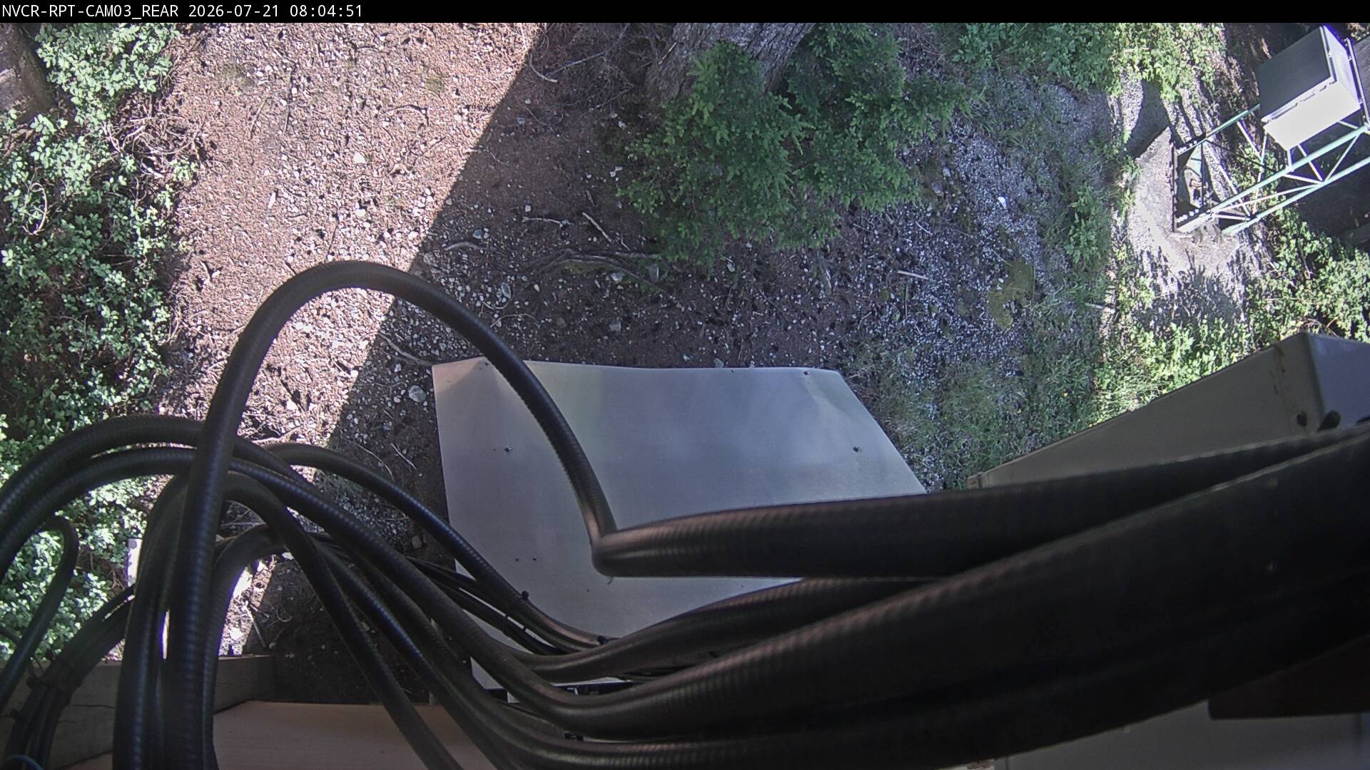 Web Cam History Image - 165