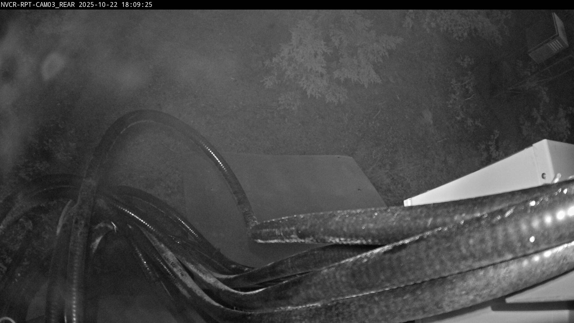 Web Cam History Image - 167