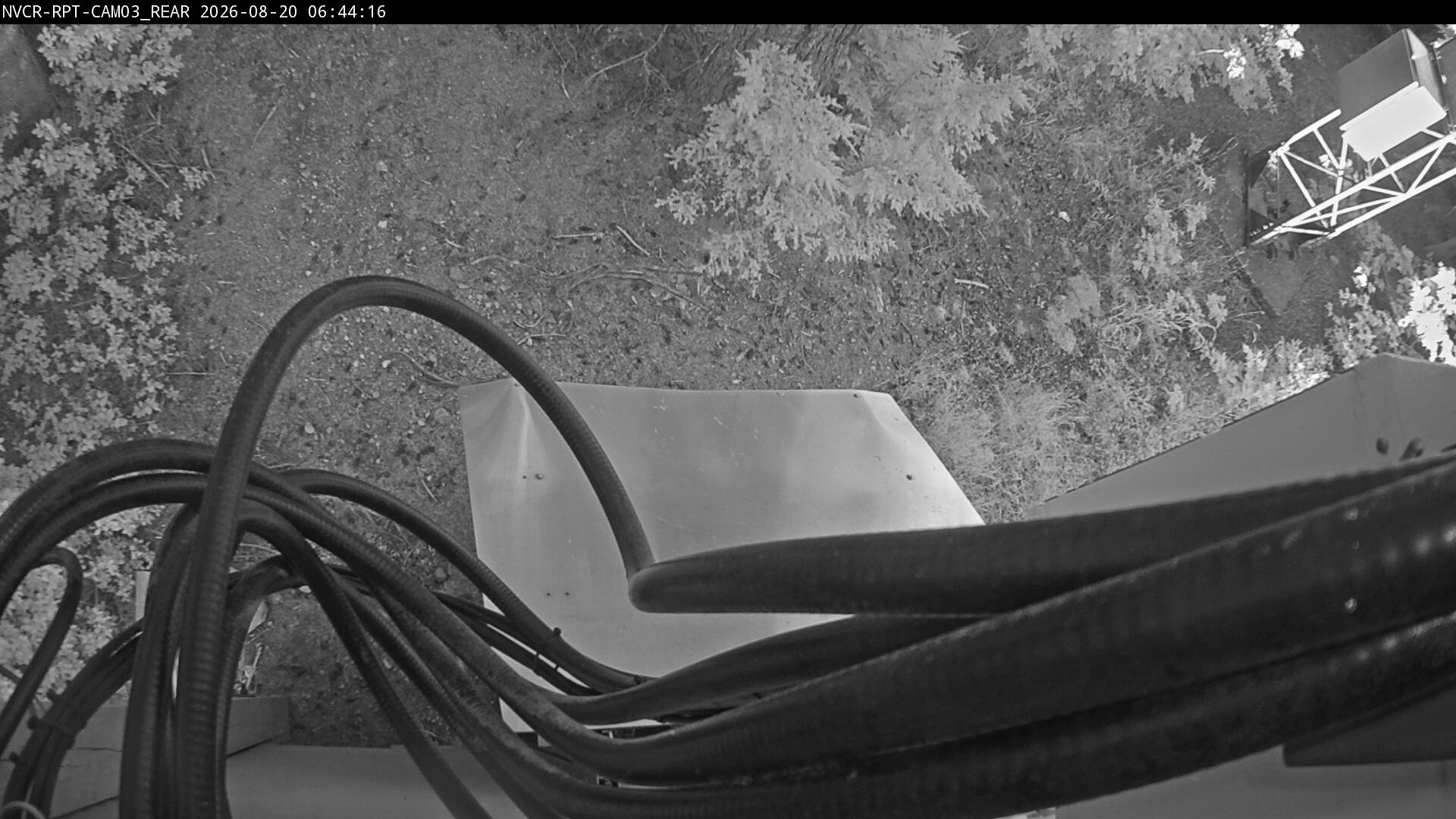 Web Cam History Image - 167