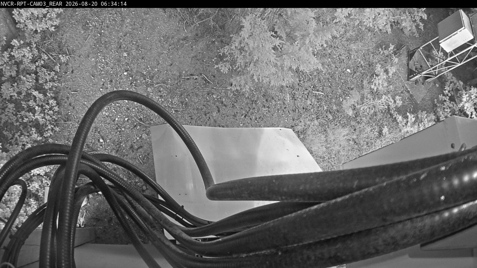 Web Cam History Image - 168
