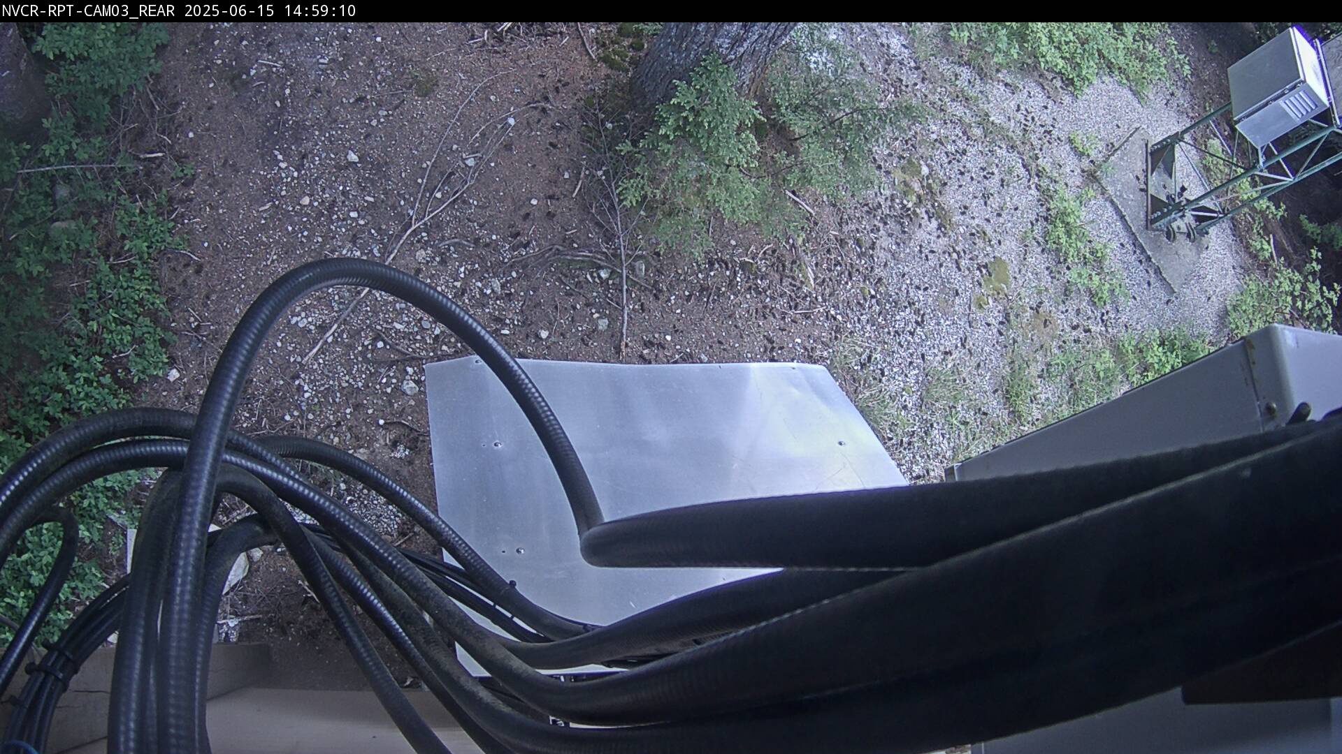 Web Cam History Image - 169