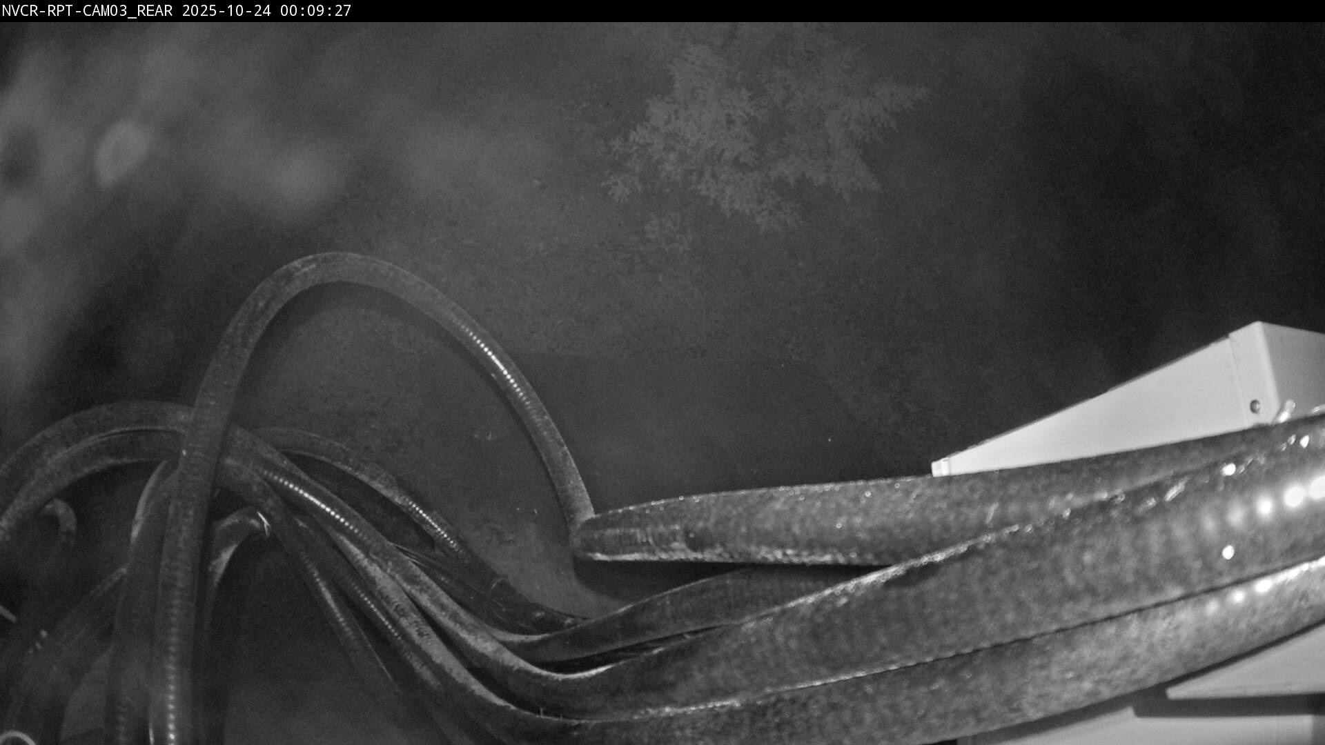 Web Cam History Image - 169