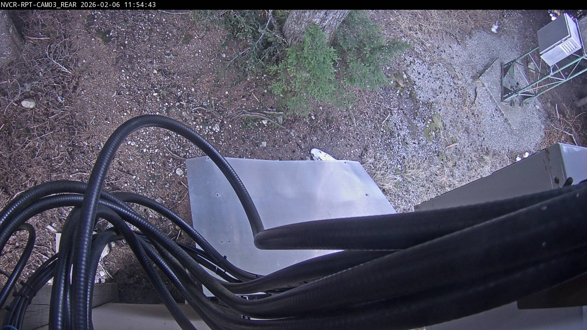 Web Cam History Image - 169