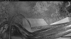 Web Cam Image - Sat, 08/01/2026 4:59am PDT