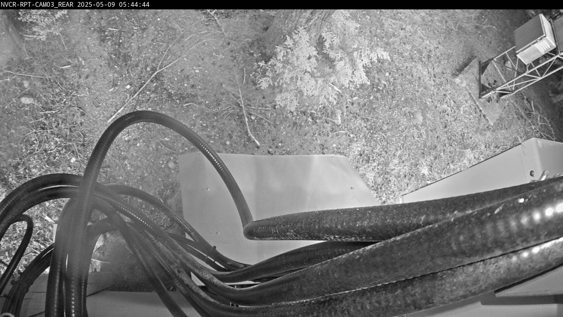 Web Cam History Image - 18
