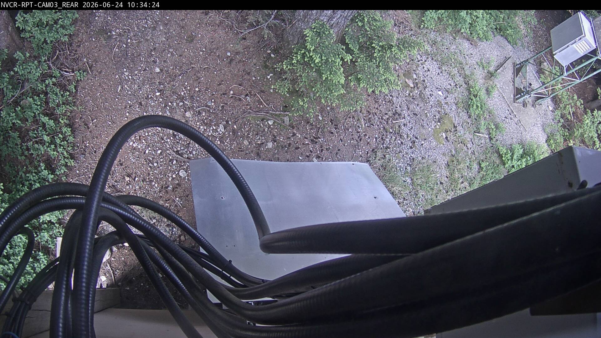 Web Cam History Image - 18