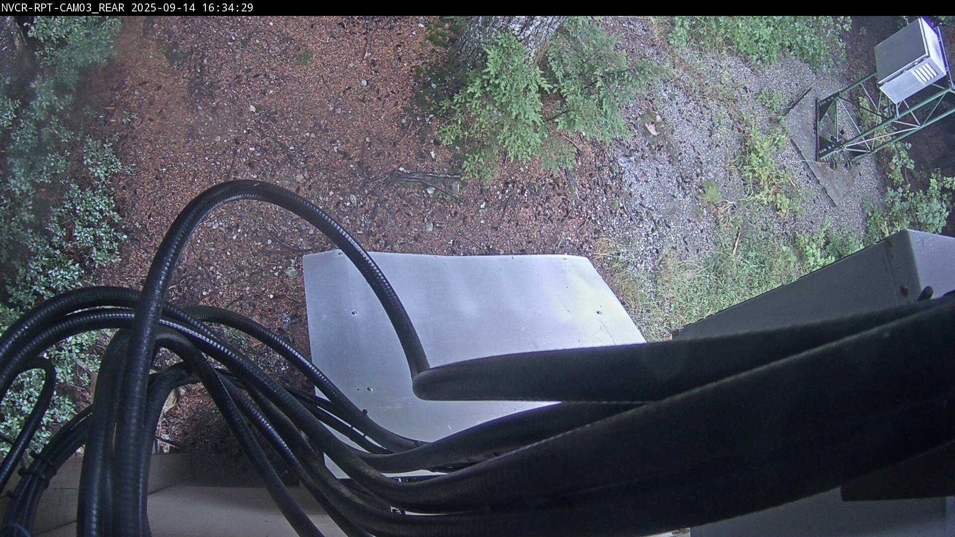 Web Cam History Image - 171