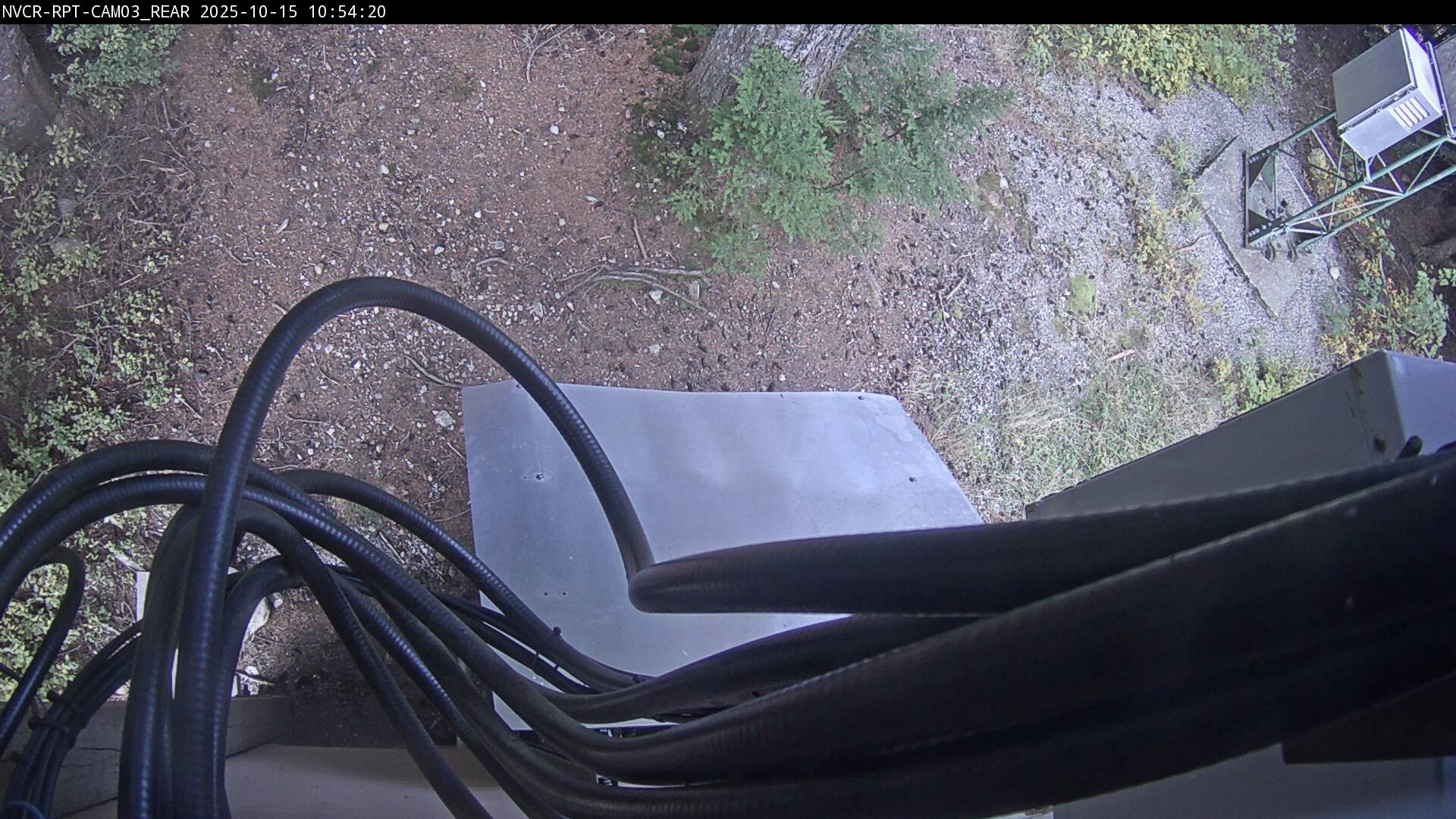 Web Cam History Image - 171
