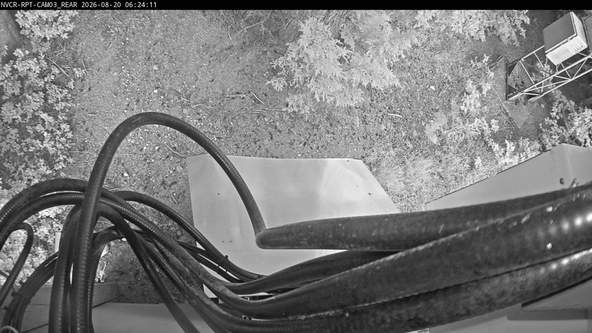 Web Cam History Image - 171