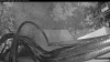 Web Cam Image - Sat, 08/30/2025 6:49am PDT