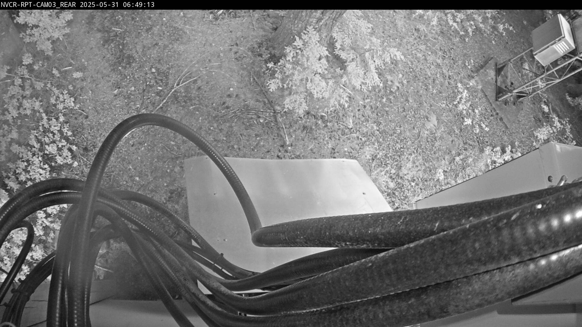 Web Cam History Image - 172
