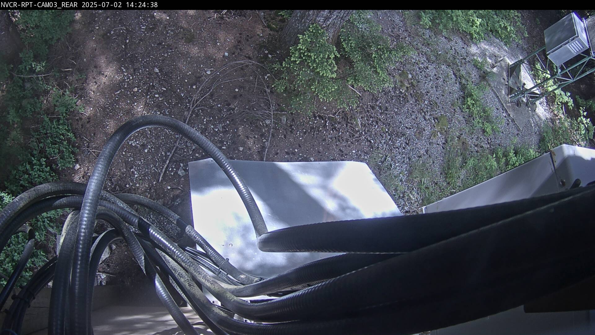 Web Cam History Image - 172
