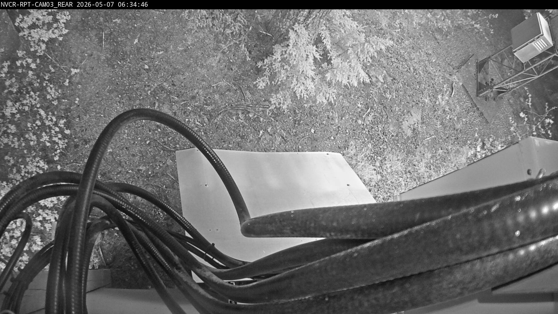 Web Cam History Image - 173