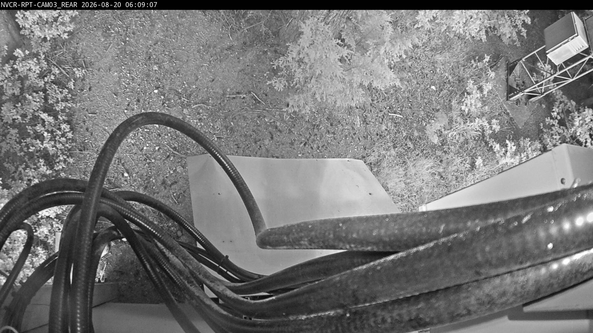 Web Cam History Image - 173