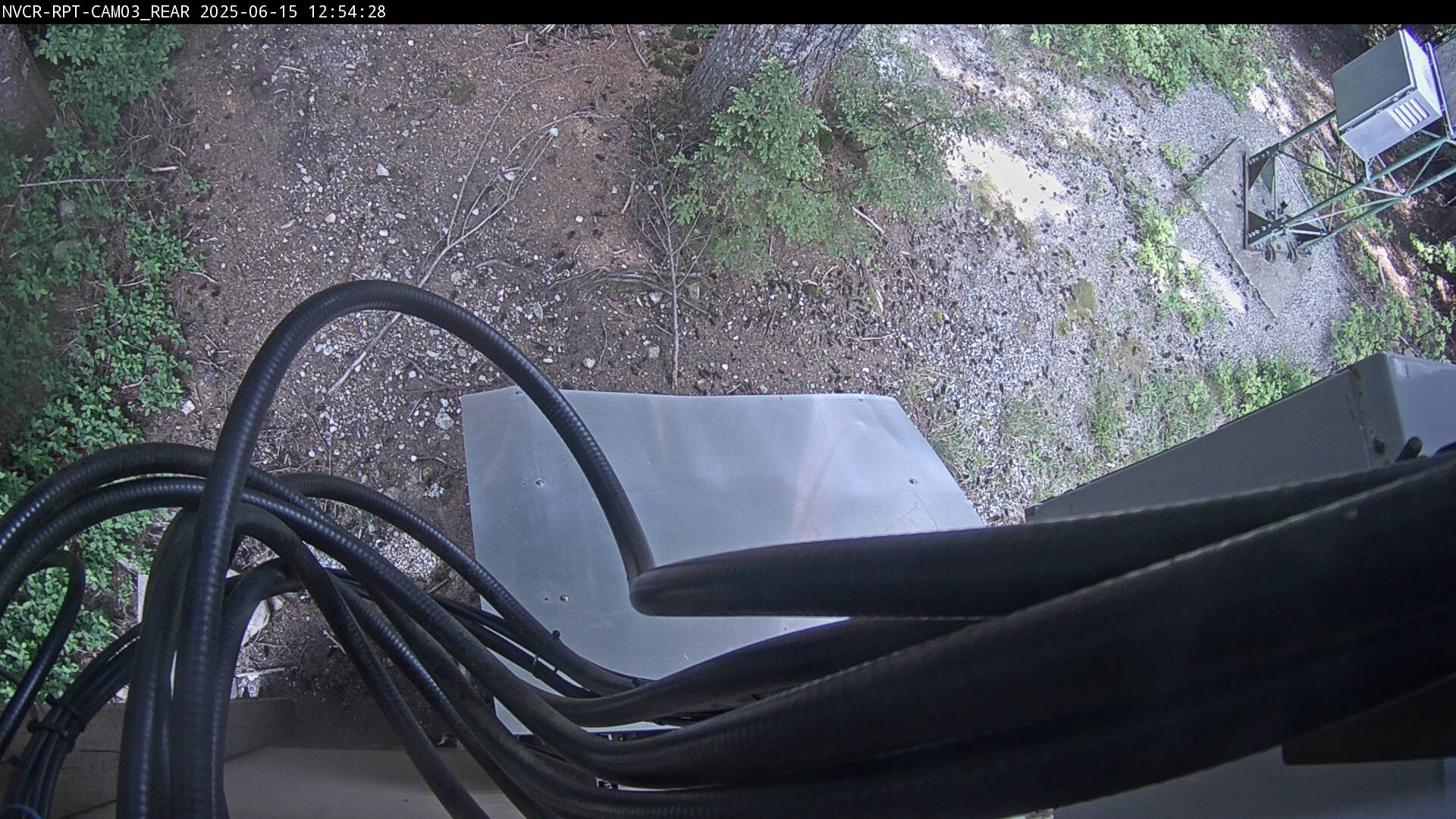 Web Cam History Image - 174