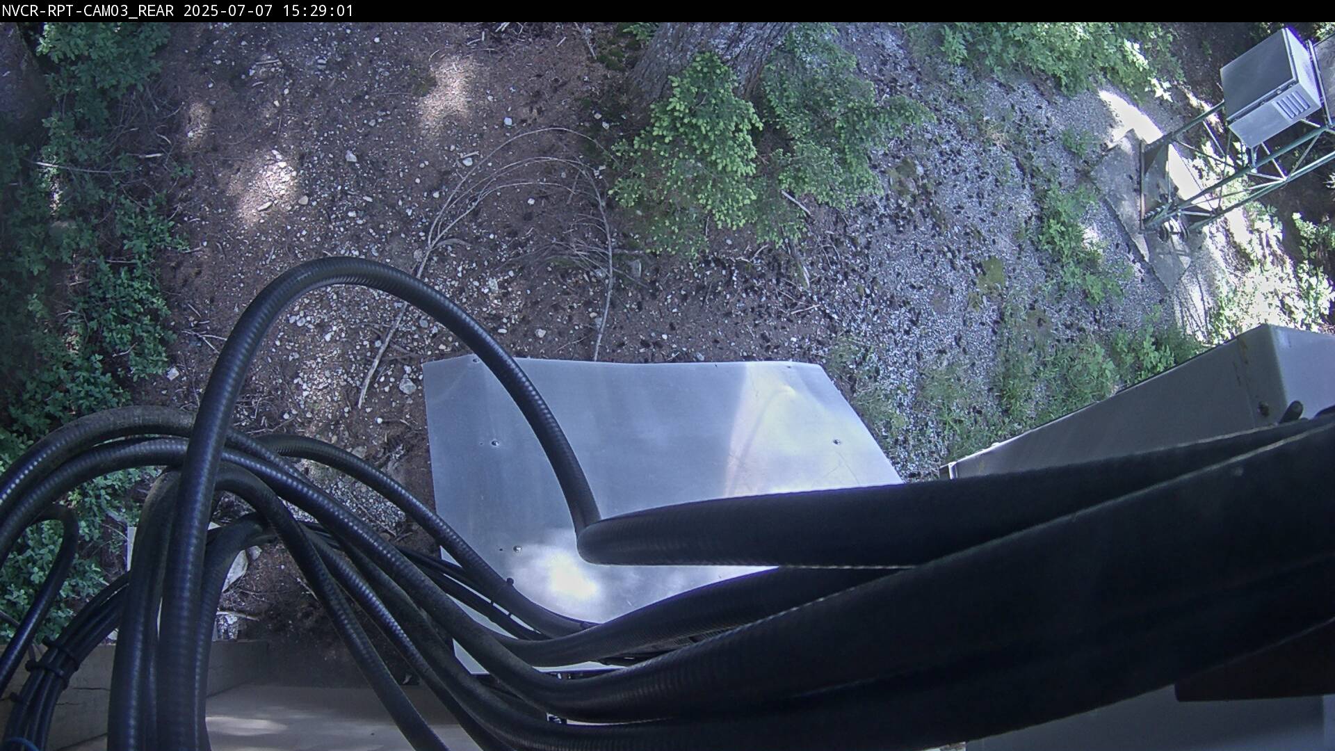 Web Cam History Image - 174